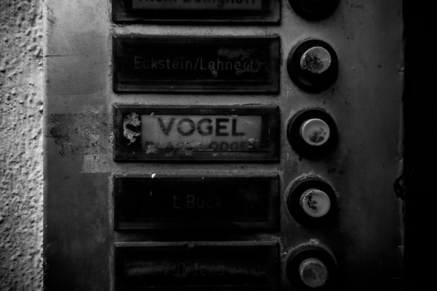 Steven Vogel, Amburgo.