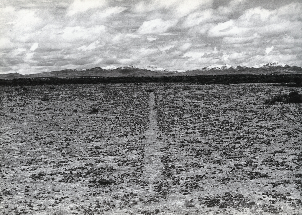 Andare a piedi. La filosofia del camminare di Frédéric&nbsp;Gros.